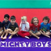 American Gymnastics Academy ico