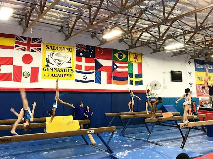 American Gymnastics Academy Picture 9