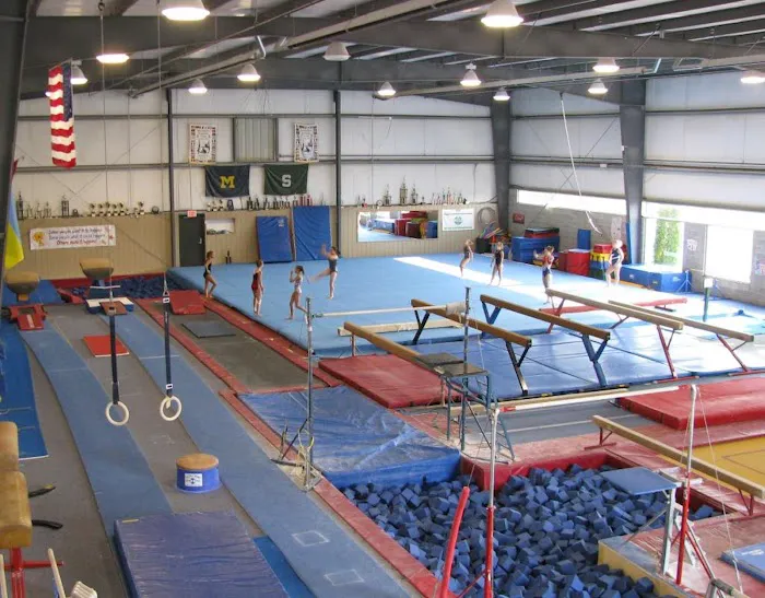 American Gymnastics Academy Picture 10