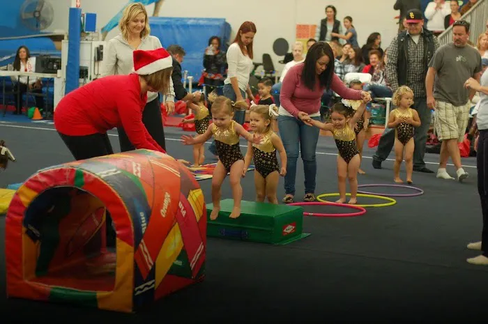 American Gymnastics Academy Picture 8