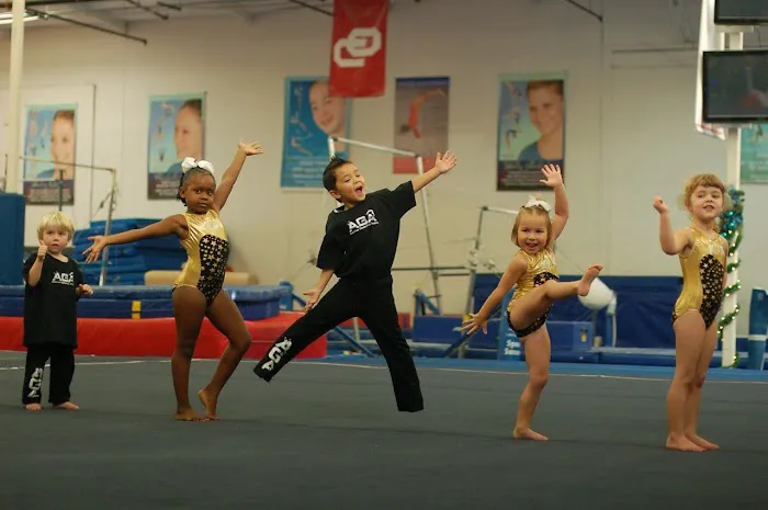 American Gymnastics Academy Picture 3