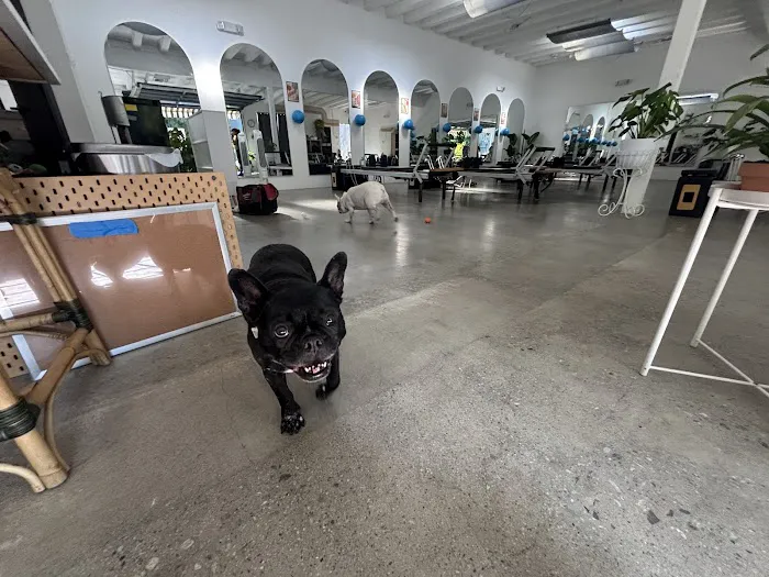 Common Ground Pilates, LLC Picture 5