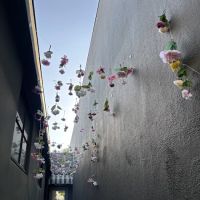 Common Ground Pilates, LLC ico