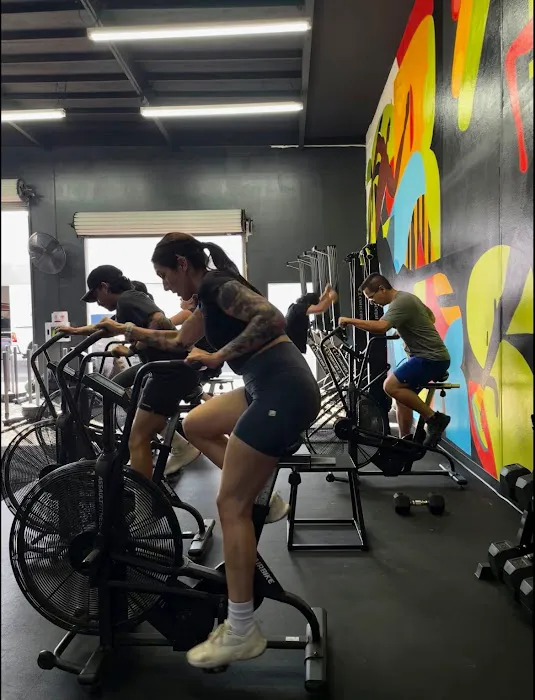 OMNIFIT - Athletics Picture 3