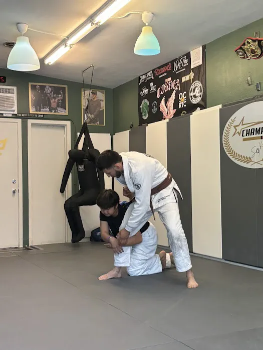 Champion's Sol MMA Picture 4