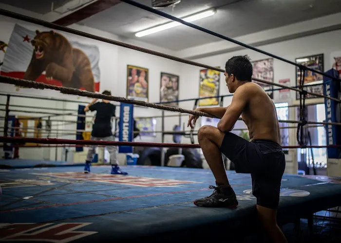 C M Boxing Stables Picture 9