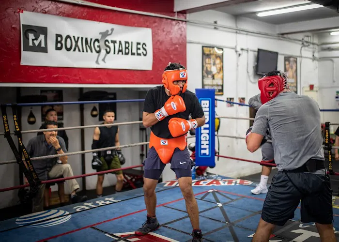 C M Boxing Stables Picture 5