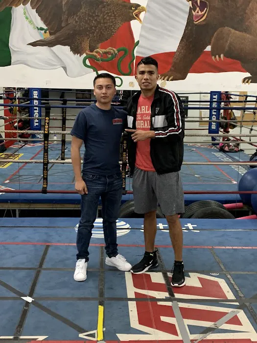 C M Boxing Stables Picture 8