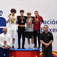 C M Boxing Stables ico