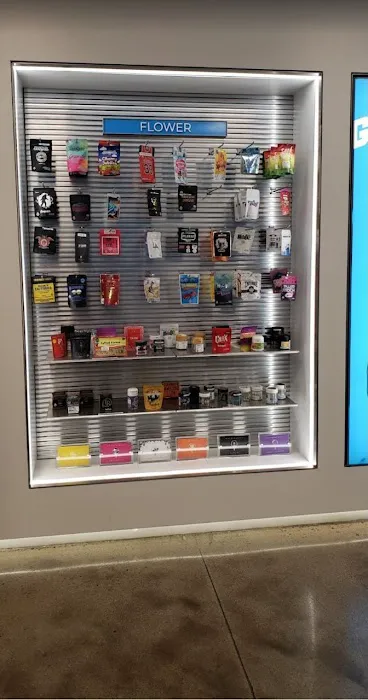 aesthetics by sue Picture 4