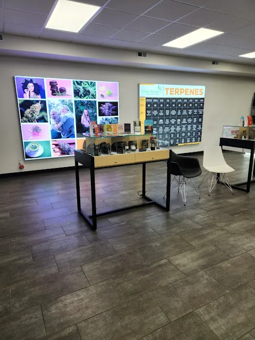 aesthetics by sue Picture 1