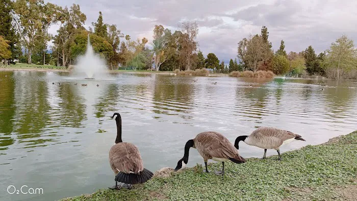 Almansor Park Gym Picture 3