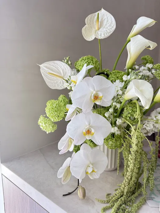 Made by Solace | Lagree Wellness Studio Picture 7