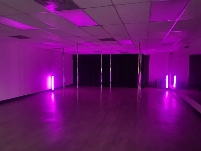 Siren Aerial Fitness Picture 2