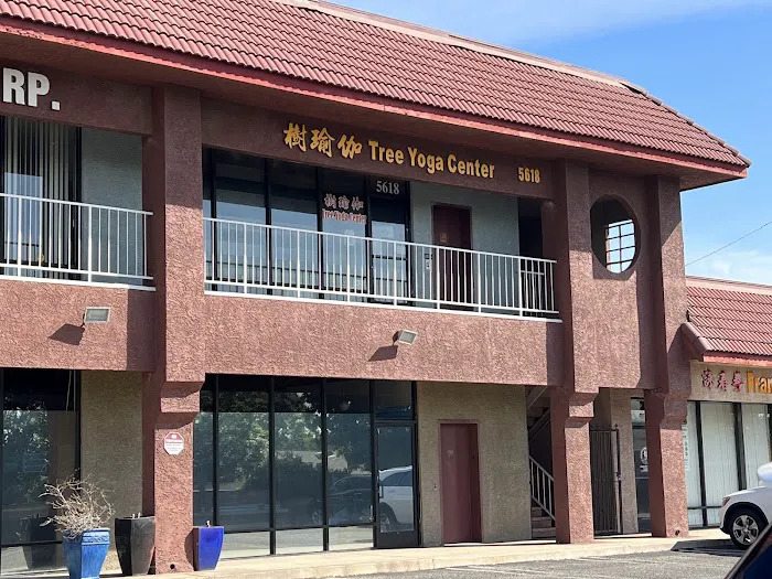 Tree Yoga Center Picture 10