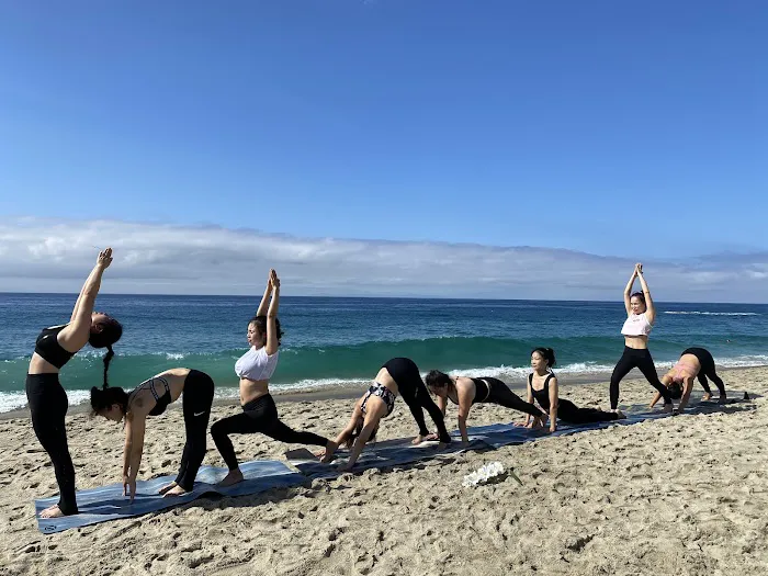 Tree Yoga Center Picture 3