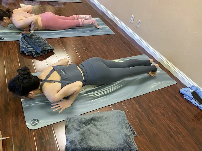 Tree Yoga Center Picture 4