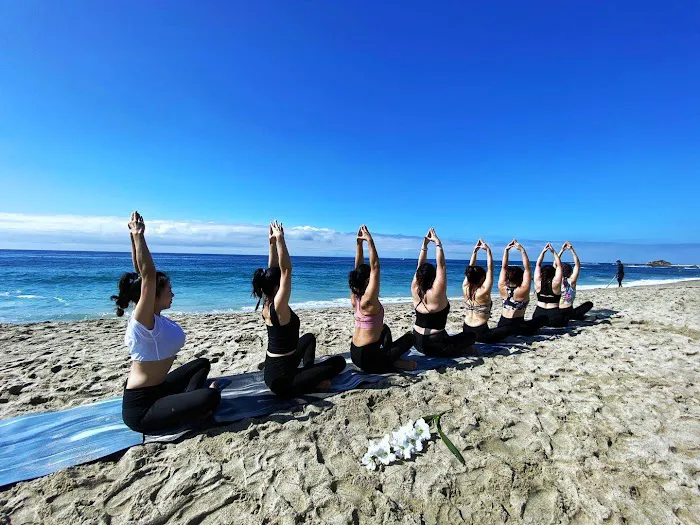 Tree Yoga Center Picture 8