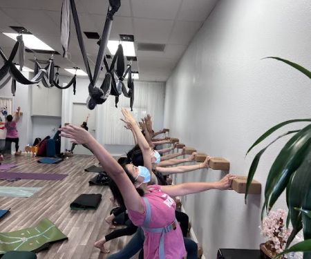 Tree Yoga Center