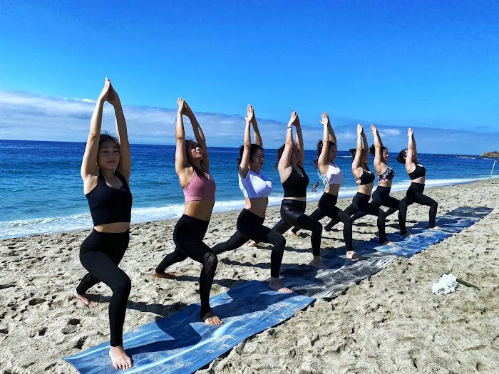 Tree Yoga Center Picture 7