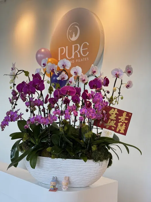 Pure Yoga and Pilates Picture 4