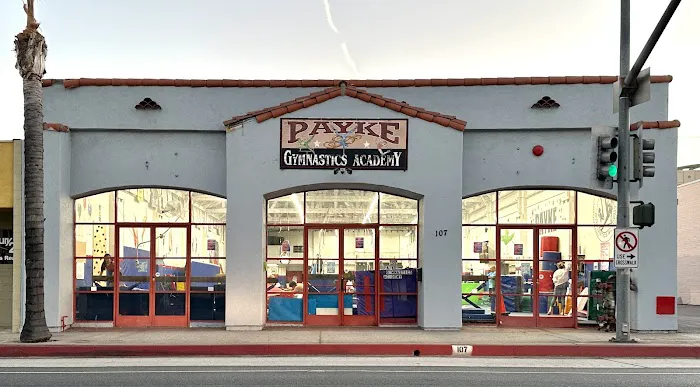 Payke Gymnastics Academy Picture 2