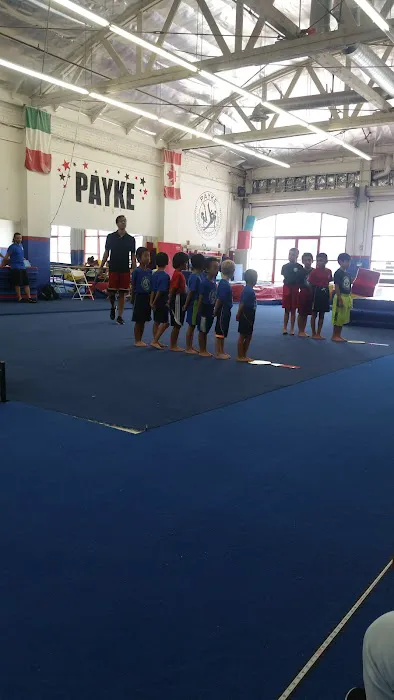 Payke Gymnastics Academy Picture 9