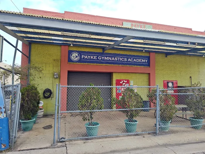 Payke Gymnastics Academy Picture 6