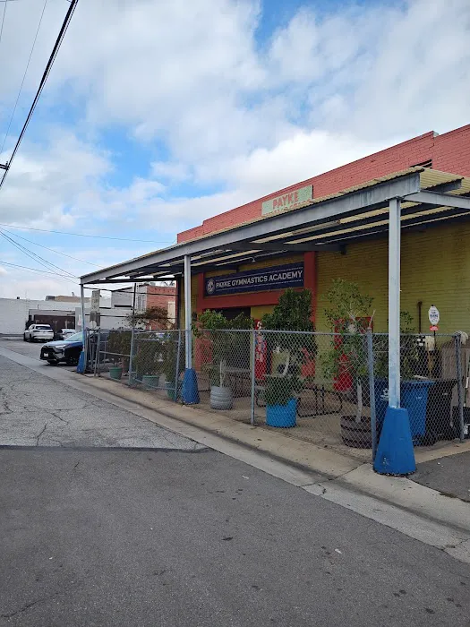 Payke Gymnastics Academy Picture 5