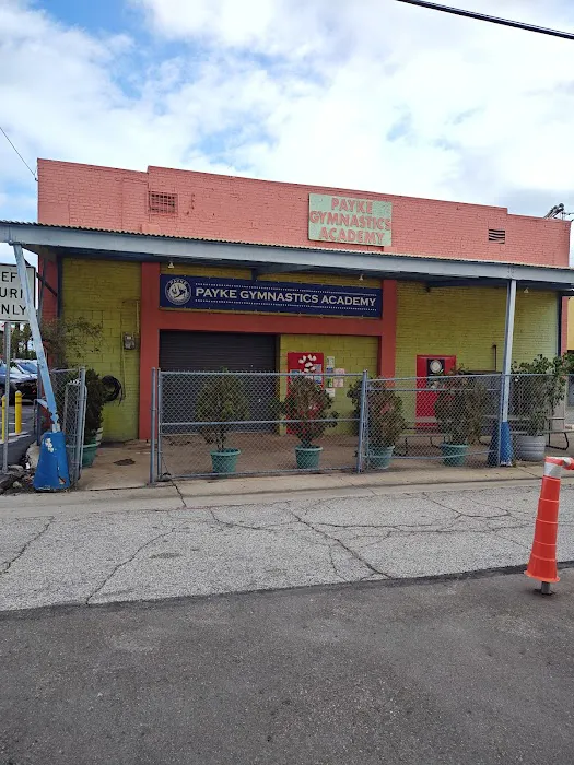 Payke Gymnastics Academy Picture 8