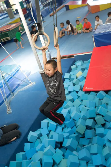 Payke Gymnastics Academy Picture 3