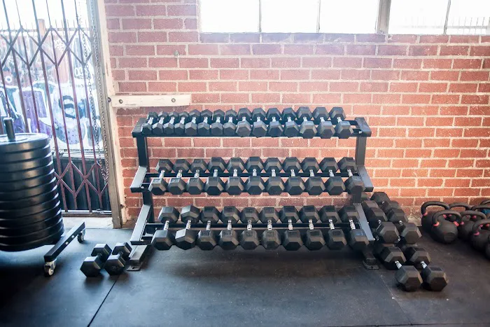 Backyard Fitness - Crossfit, Boxing, Olympic Weight-lifting Picture 8