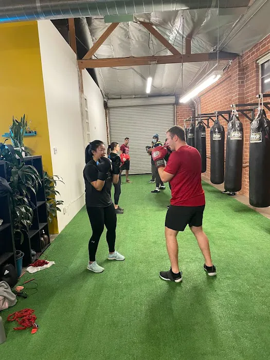 Mixtape Athletics Boxing Picture 9