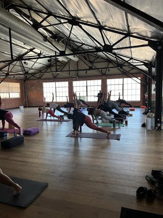 The Tree Yoga Cooperative Picture 4