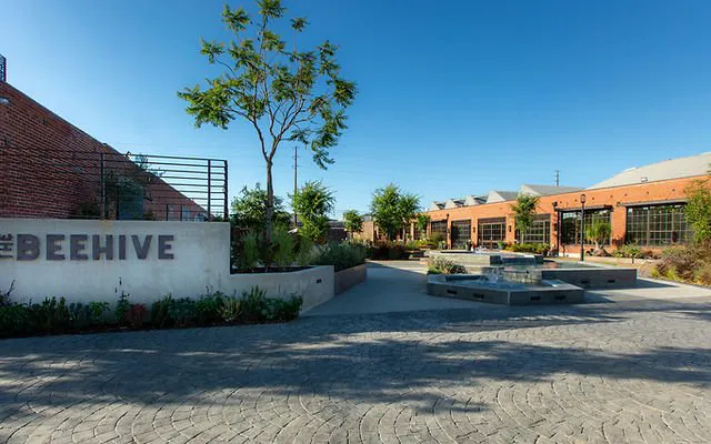 The Tree Yoga Cooperative Picture 1