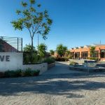 The Tree Yoga Cooperative