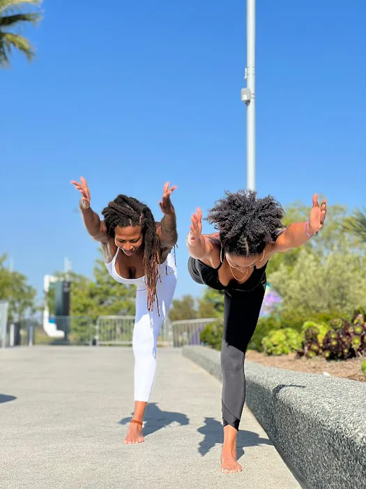 The Tree Yoga Cooperative Picture 2
