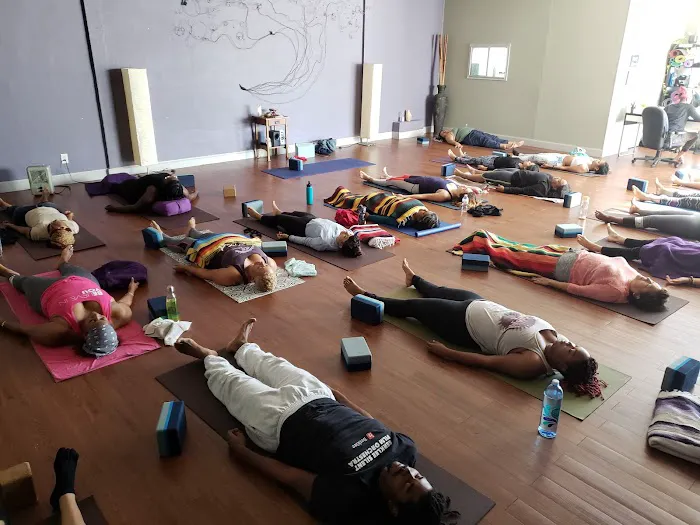 The Tree Yoga Cooperative Picture 8