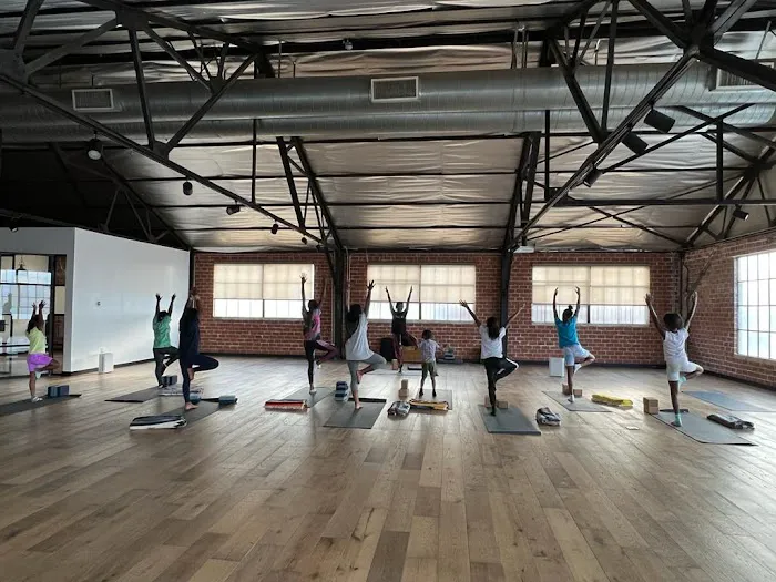 The Tree Yoga Cooperative Picture 5