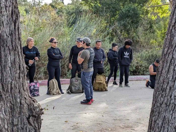 323 Hybrid Performance Picture 2