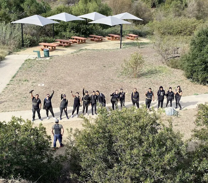 323 Hybrid Performance Picture 6