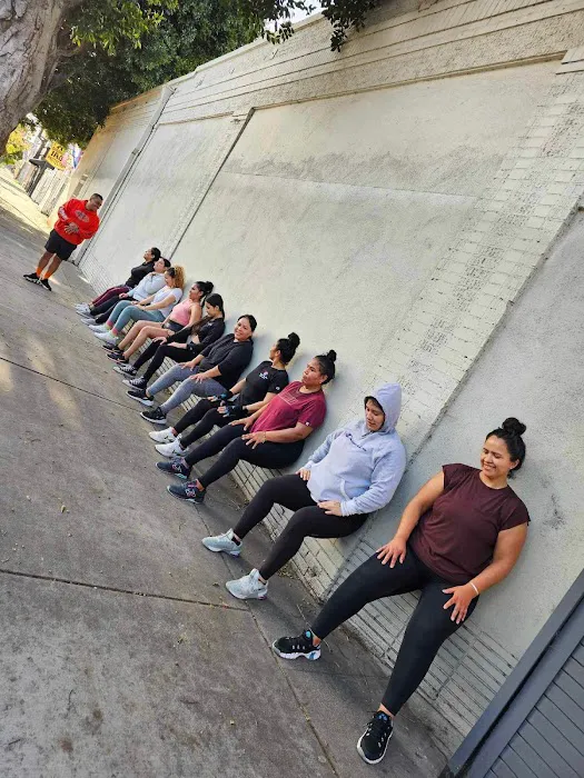 323 Hybrid Performance Picture 10