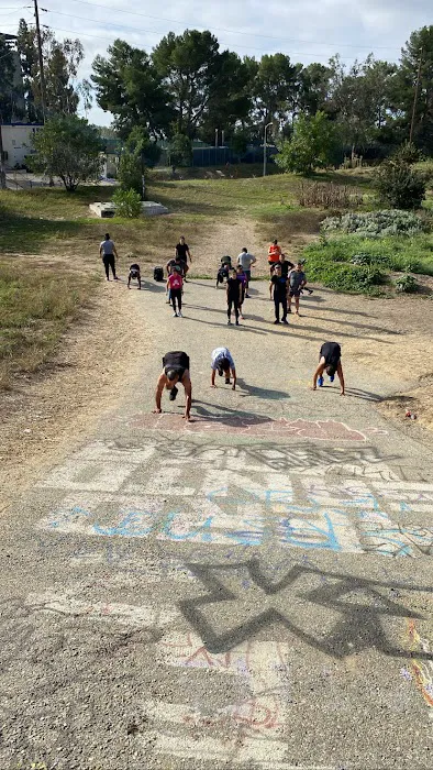 323 Hybrid Performance Picture 1