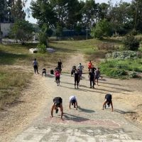 323 Hybrid Performance ico