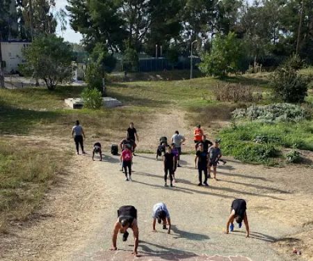 323 Hybrid Performance