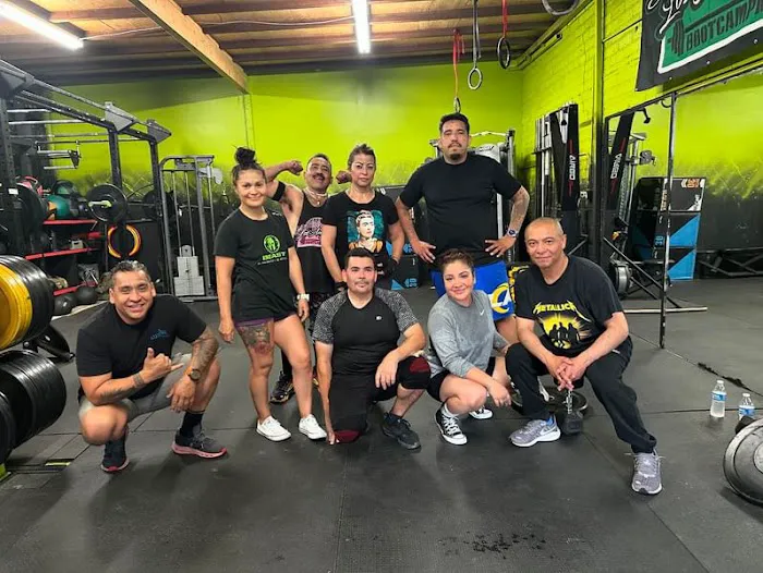 323 Hybrid Performance Picture 9