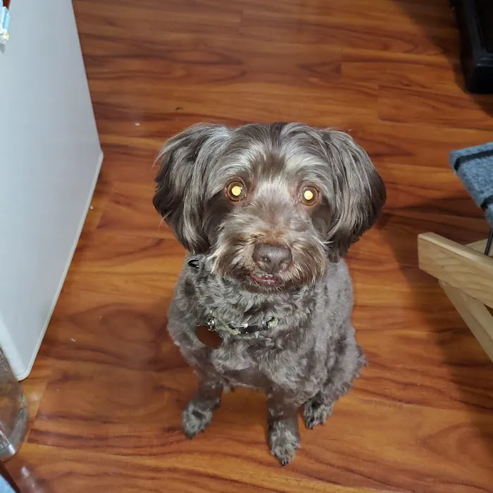 East Los Bootcamp Picture 2