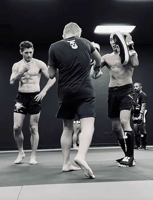 The Den Muay Thai Picture 5