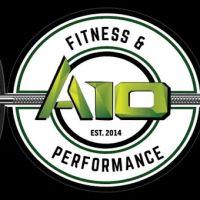 A10 Fitness and Performance ico