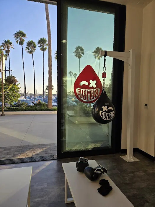 Rumble Boxing Picture 1